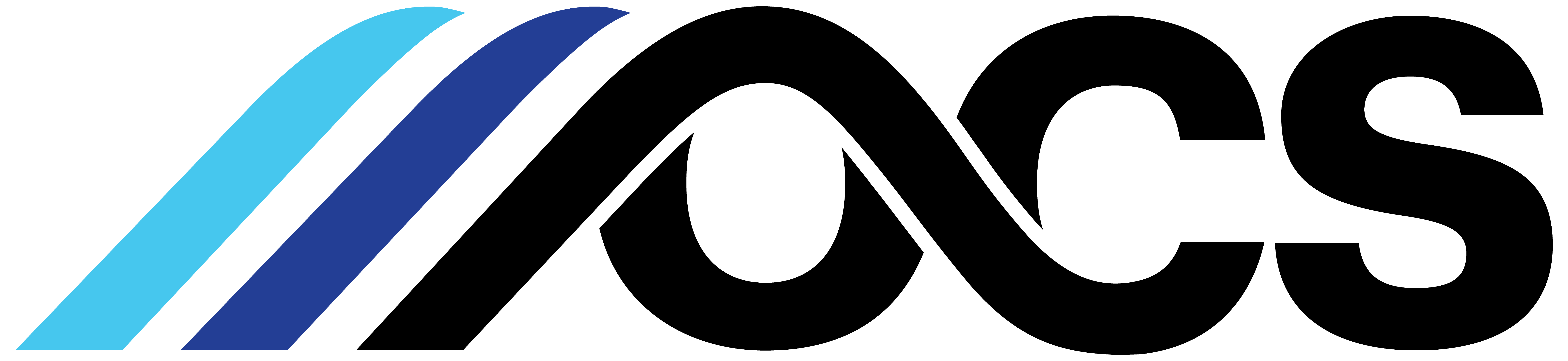 Operation-Clean-Sweep-Primary-Logo-RGB-Color